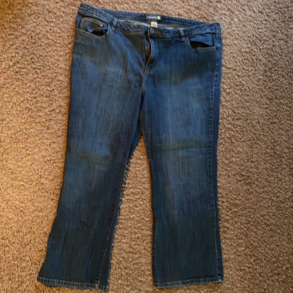 Lane Bryant Venezia jeans